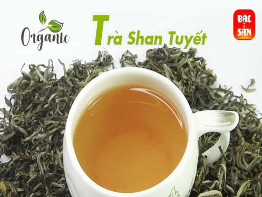 Các sản phẩm từ trà Shan Tuyết cổ thụ ngon không nên bỏ lỡ